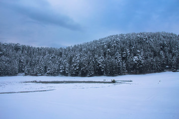 Landscape of nature after a snowfall