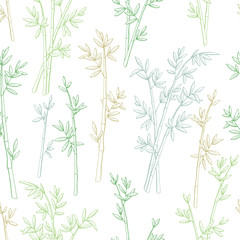 Fototapeta na wymiar Bamboo plant graphic green color seamless pattern sketch illustration vector