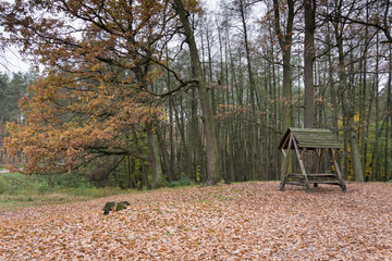 a wooden gazebo at the edge of a forest park