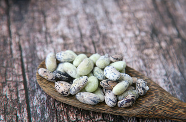 Wooden spoon with frozen beans