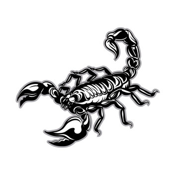 tattoo Scorpion. Vector zodiac