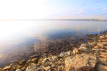 Beautiful wild lake Techirghiol