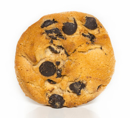 Chocolate chip cookie isolated on white background