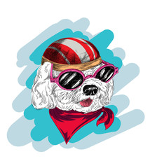 Vector illustration of dog icon design