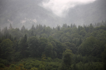 Clouds and fog in the gorge forested mountains