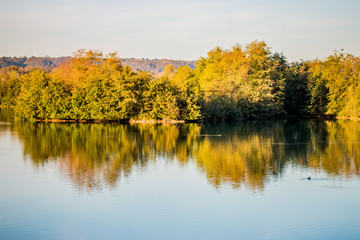 Dans le Grand Parc de Miribel Jonage à l'automne
