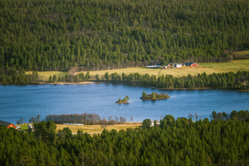 A beautiful aerial view of an autumn forest with lake in Norway. Pine trees from above. Colorful forest landscape.