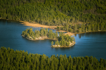 A beautiful aerial view of an autumn forest with lake in Norway. Pine trees from above. Colorful forest landscape.