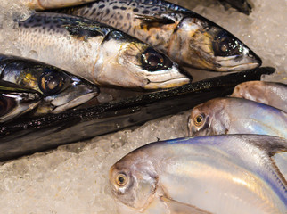 .Fresh mackerel fish on ice at market
