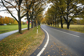 Fototapeta na wymiar Country road in fall season. Latvia