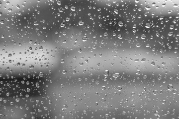 Trofen auf Glas, Hintergrundgrafik, schwarz weiß