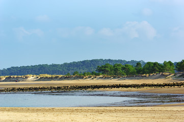 Fototapeta na wymiar plage du Galon beach in Charente maritime coast