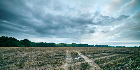 Tire tracks in arable field under dark cloudy sky