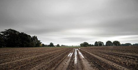 Tire tracks with rainwater in arable field under dark cloudy sky