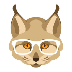 lynx face in glasses vector illustration flat style