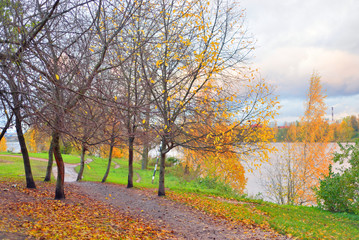 Naklejka premium Park at autumn.