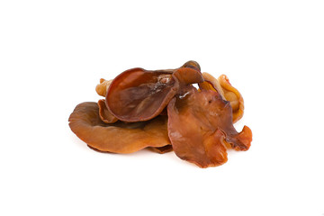 fresh mushroom isolated