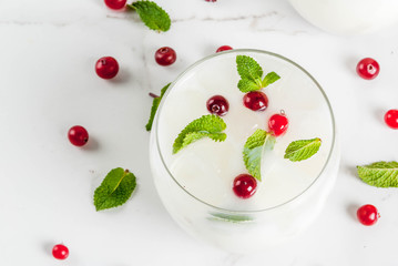 Fall and winter refreshment drink, White Christmas Mojito cocktail with cranberry and mint, on white table, copy space  top view