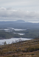 A beautiful forest on a hillside. Autumn wood scenery in the Norwegian mountains. Colorful forest landscape in north.