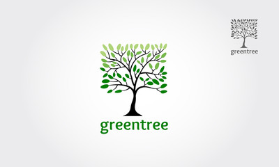 Obraz premium Green tree square vector logo design. Vector of abstract tree icon.
