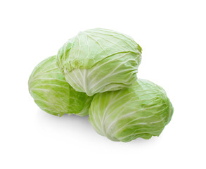Obraz premium cabbage
