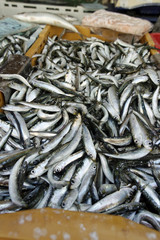 fresh fish from fish market in split