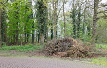Maintenance in a park