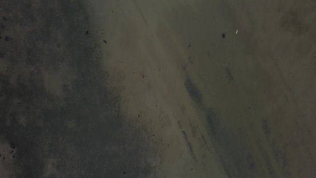 Wadden sea Unesco national park Denmark &ndash; 4K Aerial top down view of the water reflections
