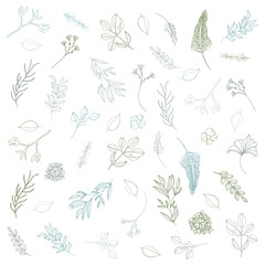 Hand drawn botanical elements, green leaves and branches, line art , hand drawn illustrations