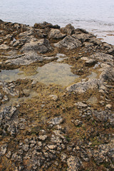 seashore with rocks
