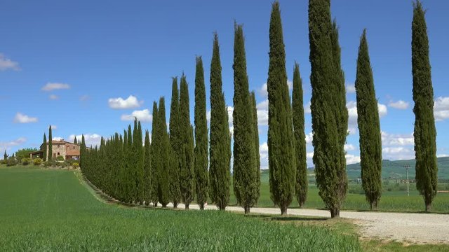 Tuscany landscape with farmhouse and cypresses at sunny day. Province of Siena, Italy, 4k
