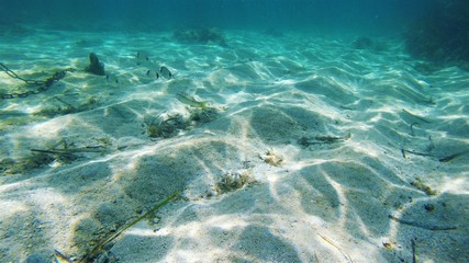Seabed