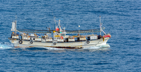 Fototapeta premium Squid fishing light boat