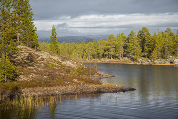 A beautiful autumn landscape at the coast of a lake in Femundsmarka National Park in Norway. Seasonal scenery in fall.