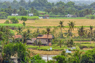 Rural scenery in Vietnam.