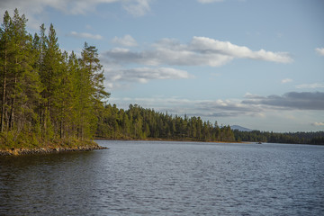 A beautiful autumn landscape at the coast of a lake in Femundsmarka National Park in Norway. Seasonal scenery in fall.