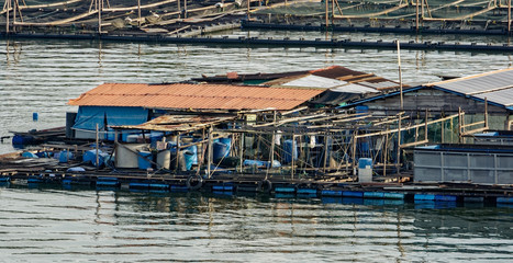 Floating fish farm