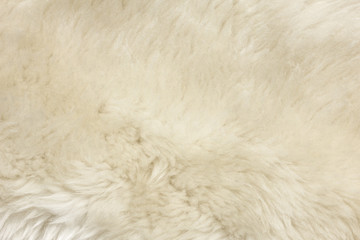 Natural Fur Texture 