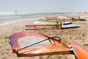Many color windsurfing lying on the beach. Sea sport activity.