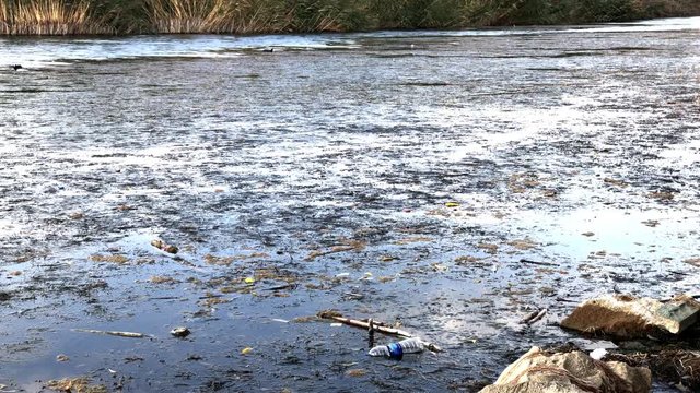 "Environmental problem plastic garbage pollution. Rubbish dump landfill ruins water environment su ve doğa felaketi "