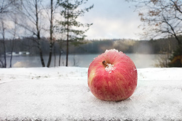 apple in the snow against the background of the lake and the forest