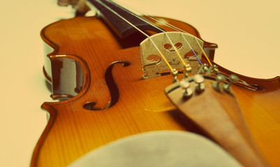 Viola de Arco