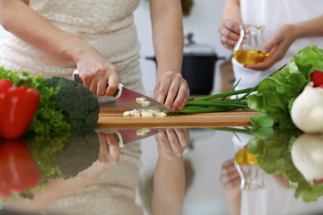 Close-up of  human hands  cooking in a kitchen. Friends having fun while preparing fresh salad....