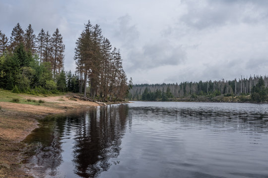 The Silberteich lake  in Harz, Germany