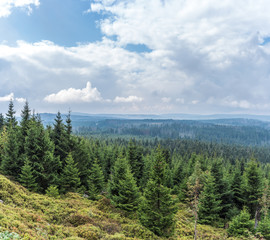 The landscape of mountain in Harz, Germany