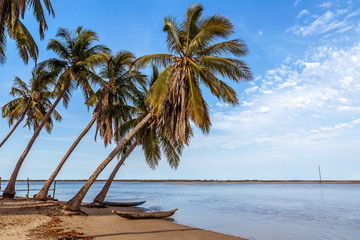 Dugout canoes beached