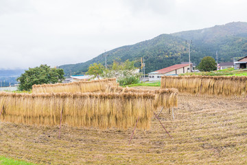  Rice fields  of Nozawa Onsen is a hot spring town located on the northern part of Nagano Prefecture , Japan.