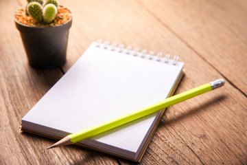 Succulent Pencil and Notebook paper in pot  on table wood Still Life Natural background , Cactus Plants on Vintage Wood Background Texture