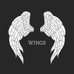 Vector Wings Image