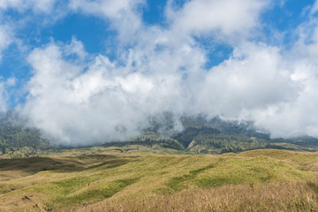 Fototapeta na wymiar Mountain and savannah field with low cloud over hill. Rinjani mountain, Lombok island, Indonesia.